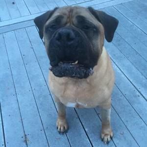 Meet your Posher, Gail